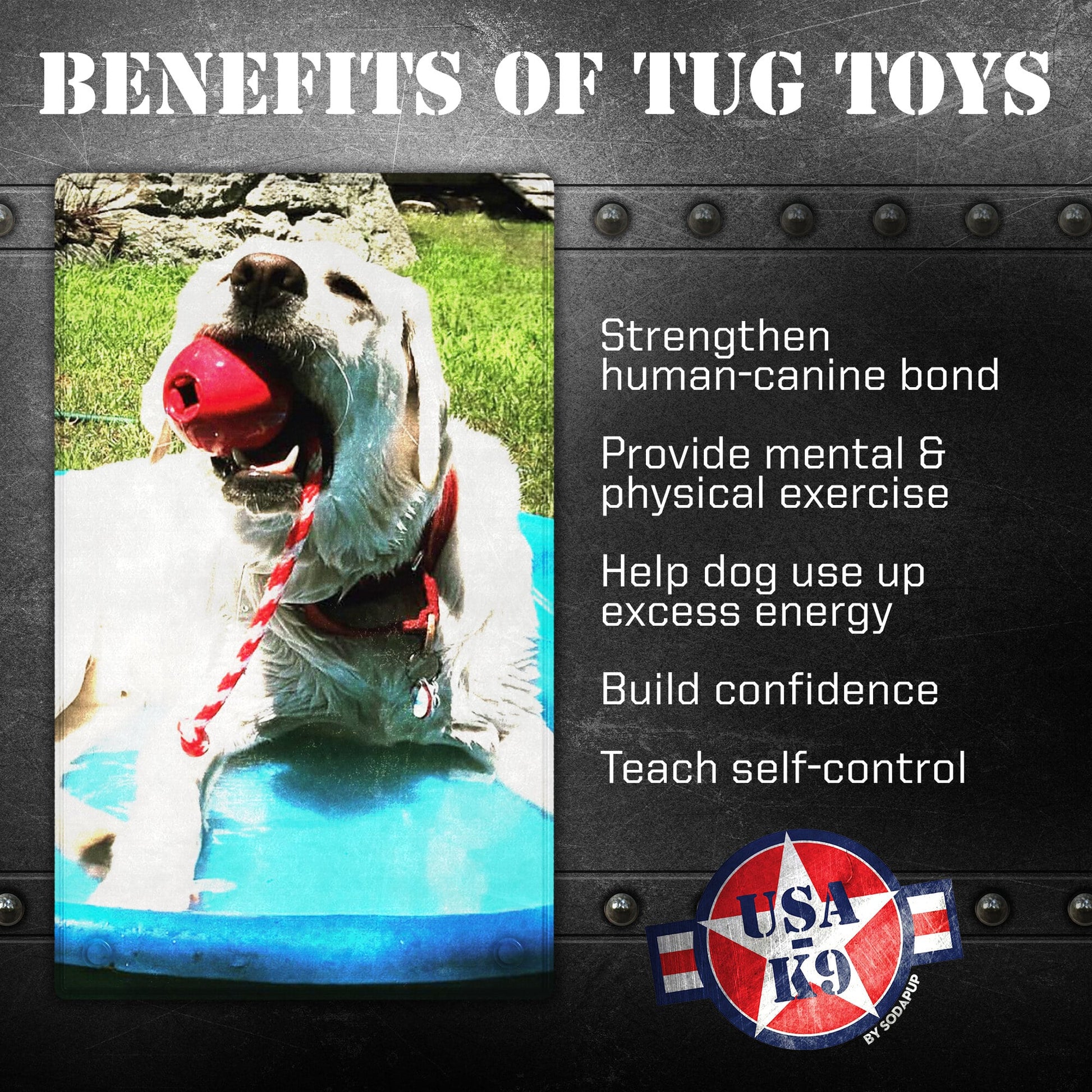 SodaPup USA-K9 Cherry Bomb Rubber Dog Chew Toy | K9 Handler Reward Blue USA Made