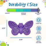 SP Butterfly Chew and Enrichment Toy  - Purple - SodaPup/True Dogs, LLC
