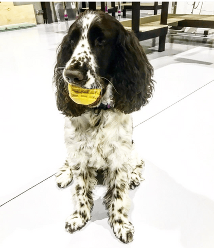 SodaPup Industrial Dog Ball Rubber Chew Toy Heavy Chewers | Yellow USA Made