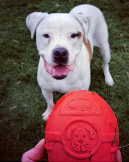 SodaPup Rocketman Dog Toy Durable Rubber Chew & Treat Dispenser | USA Made