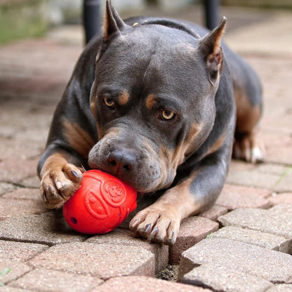 SodaPup Rocketman Dog Toy Durable Rubber Chew & Treat Dispenser | USA Made