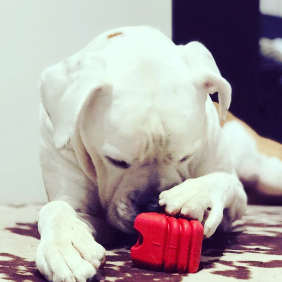 SodaPup Heart String Dog Toy Durable Rubber Tug Large Dogs | USA Made