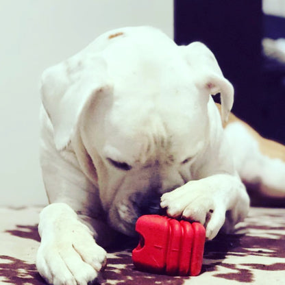 SodaPup Heart String Dog Toy Durable Rubber Tug Large Dogs | USA Made