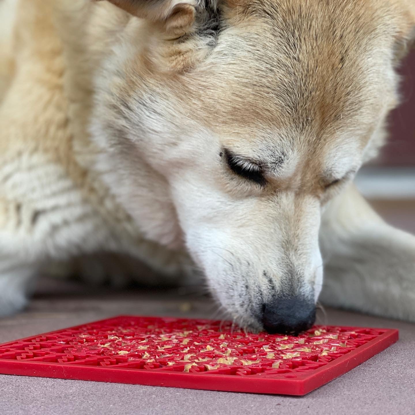 SodaPup "Peace" Christmas Tree emat Enrichment Lick Mat Dogs Cats | design