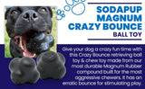 Magnum Crazy Bounce Ultra Durable Rubber Chew & Retrieving Toy - Large - BLACK - SodaPup/True Dogs, LLC