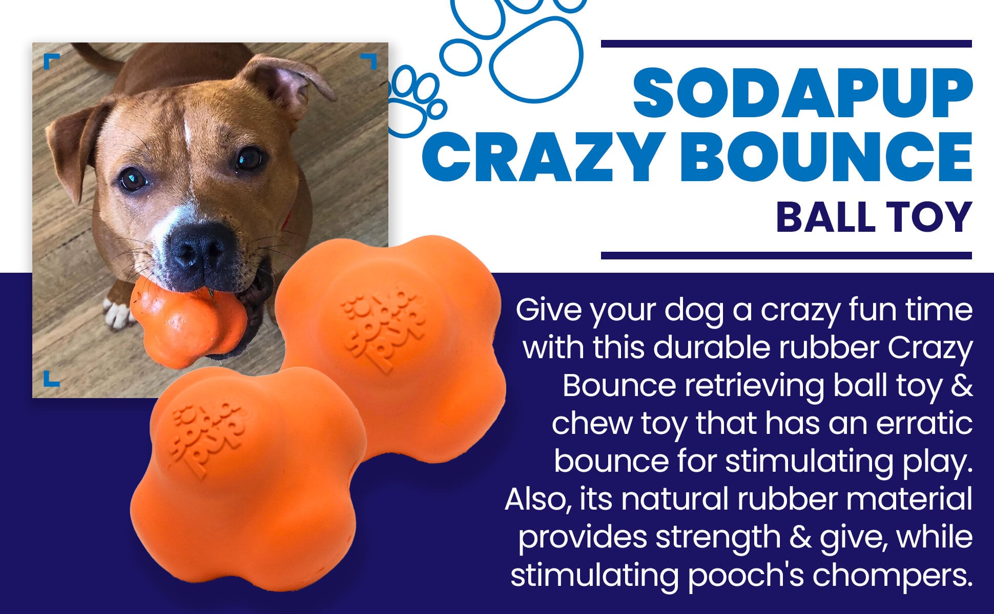 SodaPup Crazy Bounce Rubber Dog Chew Toy Power Chewers | Retrieving Ball USA Made