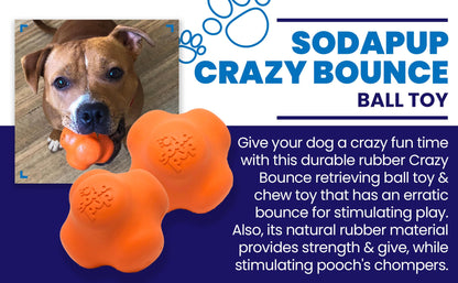 SodaPup Crazy Bounce Rubber Dog Chew Toy Power Chewers | Retrieving Ball USA Made