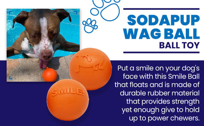 SodaPup Smile Ball Rubber Dog Chew Toy Heavy Chewers | Floating Fetch USA Made