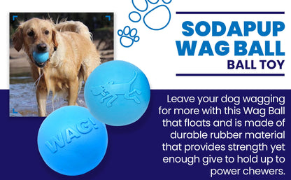 SodaPup Wag Ball Rubber Dog Chew Toy Heavy Chewers | Floating Fetch USA Made