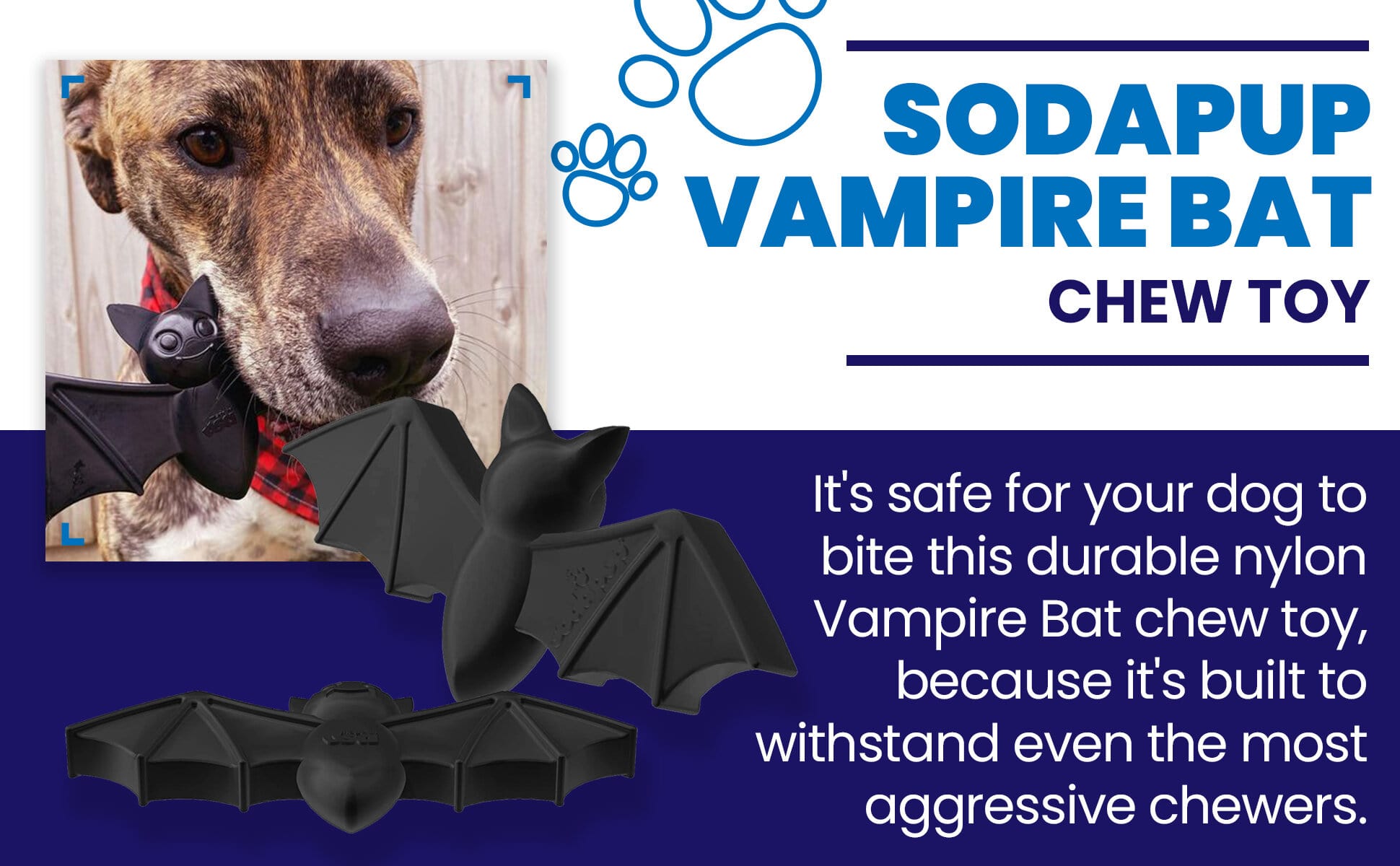 Vampire Bat Nylon Dog Chew Toy for Aggressive Chewers | USA Made