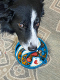 Wave Design eBowl Enrichment Slow Feeder Bowl for Dogs - SodaPup/True Dogs, LLC