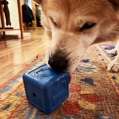 SodaPup Love Cube eDispenser Durable Rubber Chew Toy & Treat Dispenser | USA Made