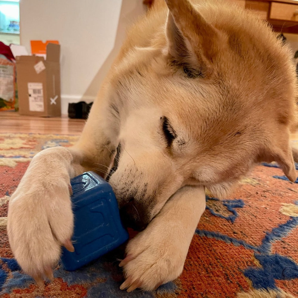 SodaPup Love Cube eDispenser Durable Rubber Chew Toy & Treat Dispenser | USA Made