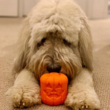 Jack-o-Lantern Rubber Dog Toy and Treat Dispenser - Halloween Dog Toy 