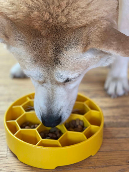 SodaPup Honeycomb eBowl Deep Slow Feeder Dog Bowl Enrichment | USA Made