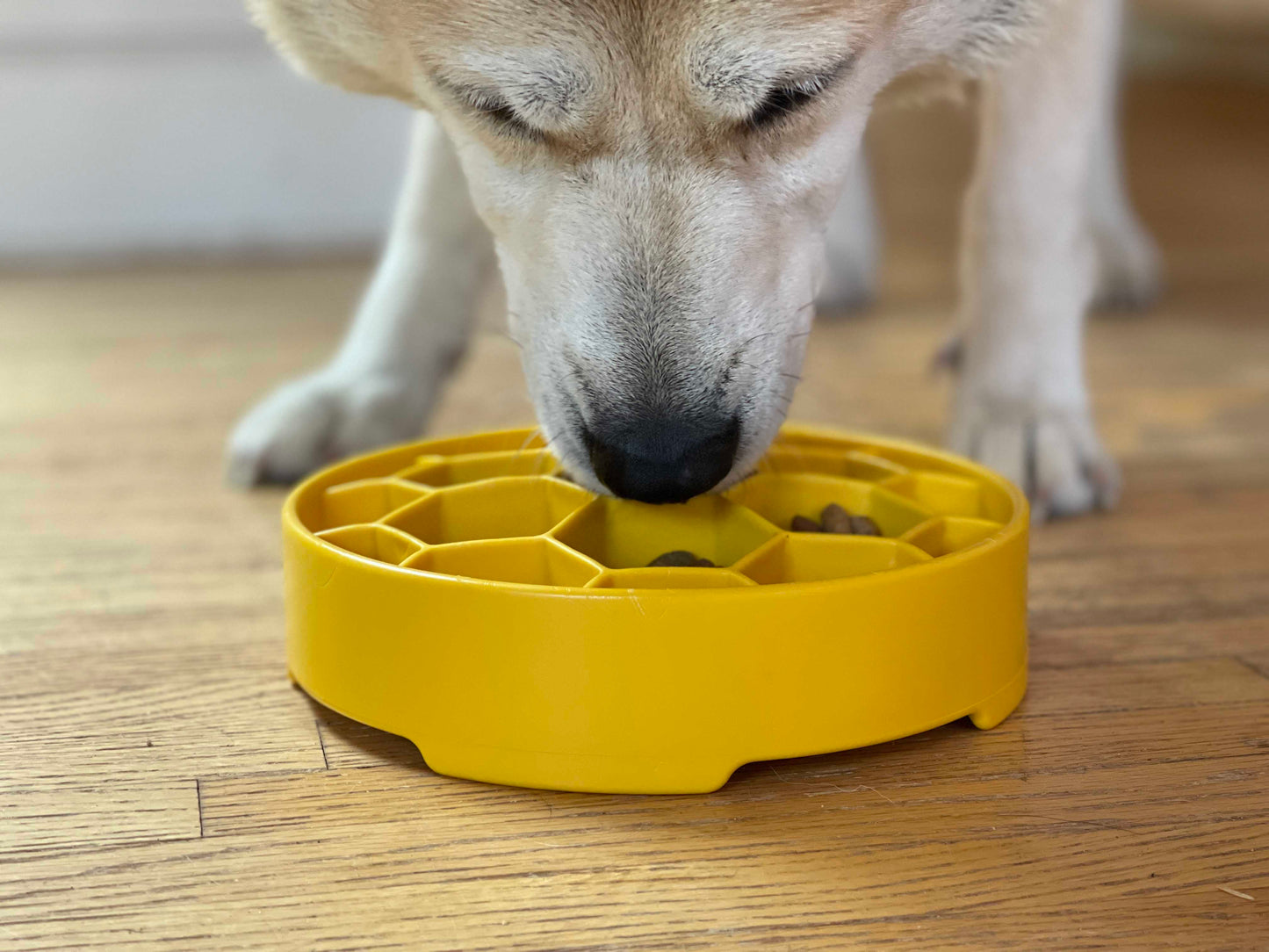 SodaPup Honeycomb eBowl Deep Slow Feeder Dog Bowl Enrichment | USA Made