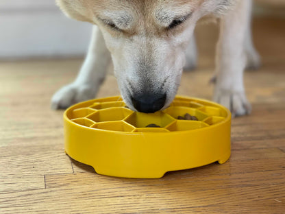 SodaPup Honeycomb eBowl Deep Slow Feeder Dog Bowl Enrichment | USA Made