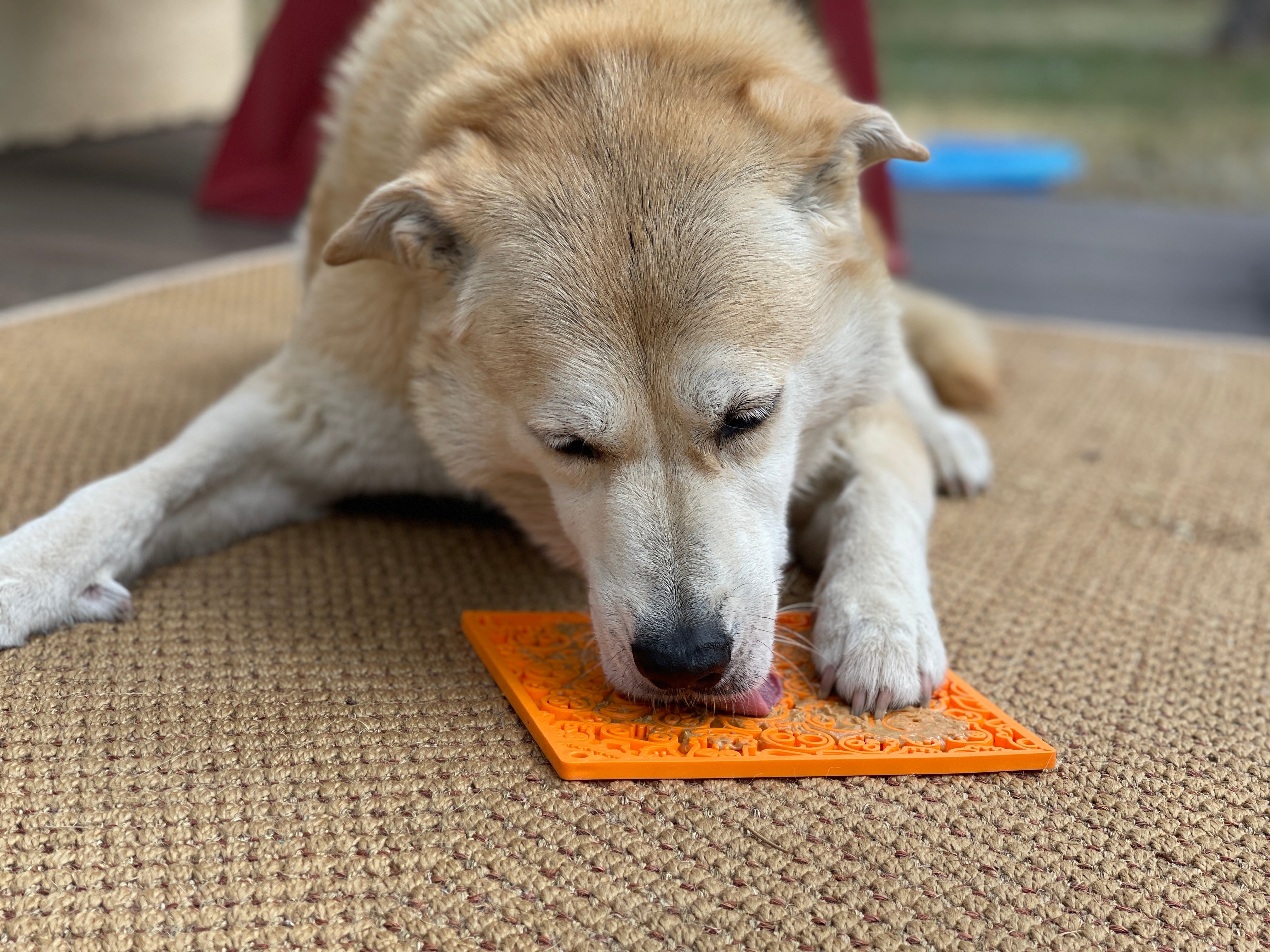 Zombie eMat - Enrichment Lick Mat for Dogs and Cats | Halloween