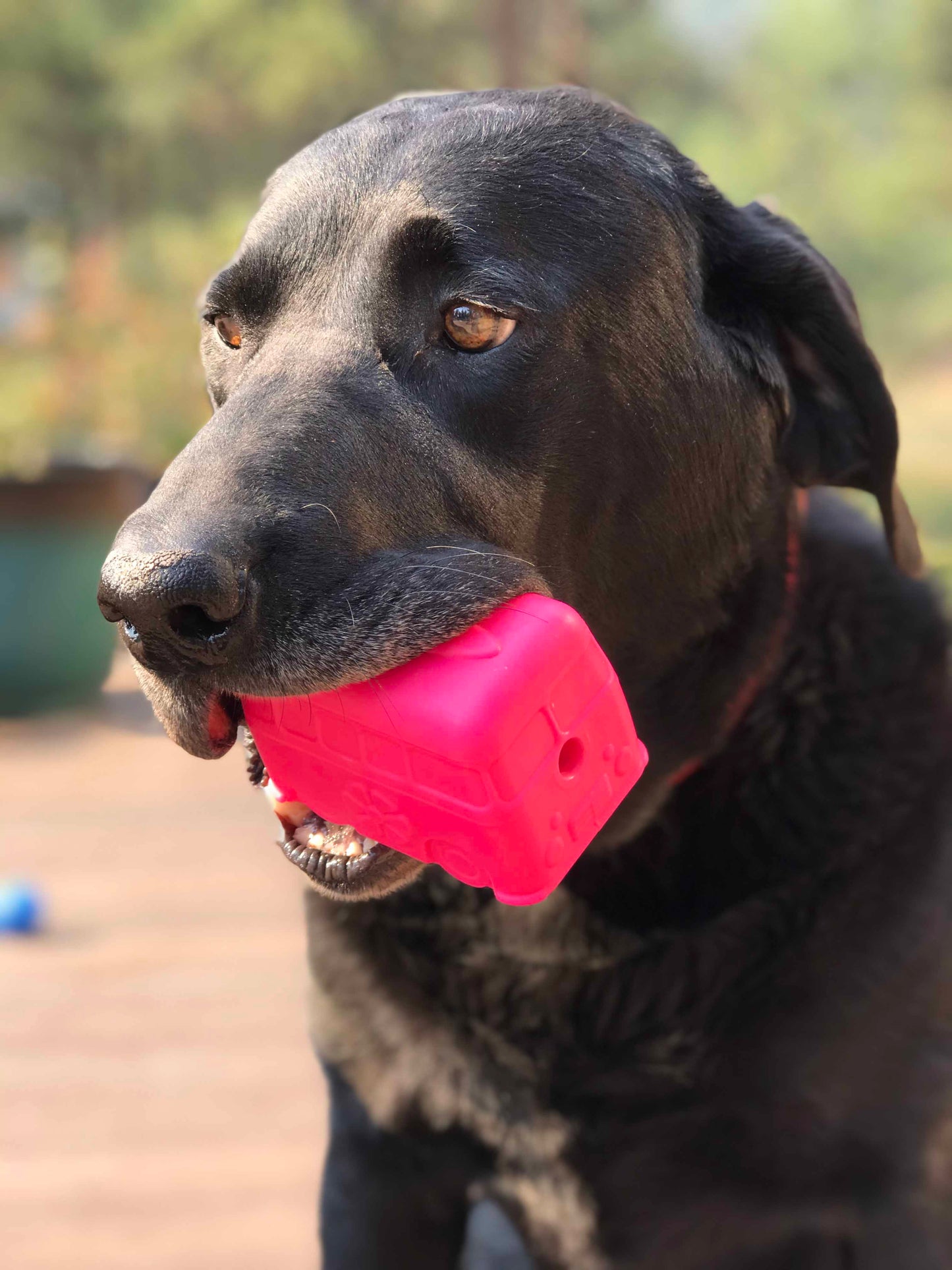 SodaPup Surf's Up! Retro Van Dog Toy Durable Chew Large Dogs | USA Made