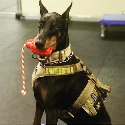 SodaPup USA-K9 Magnum Grenade Black Rubber Chew Toy Extreme Chewers | USA Made