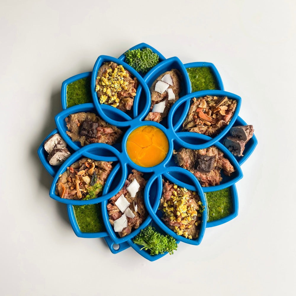 SodaPup Mandala eTray Shallow Slow Feeder Dog Bowl Enrichment | USA Made