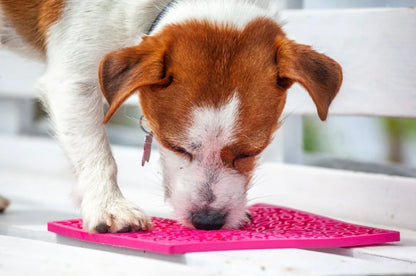 SodaPup Flower Power emat Enrichment Lick Mat Dogs Cats | Design USA Made