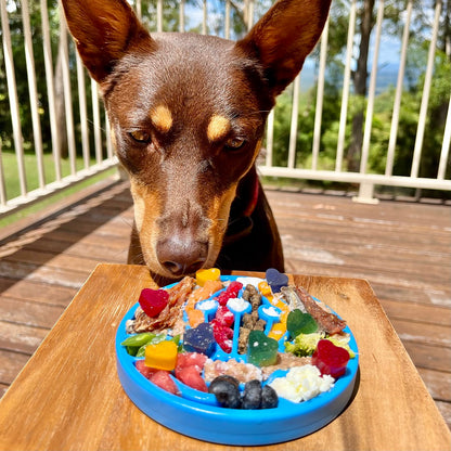 SodaPup Air Nylon eCoin Lick Mat Dogs Durable Enrichment Toy |