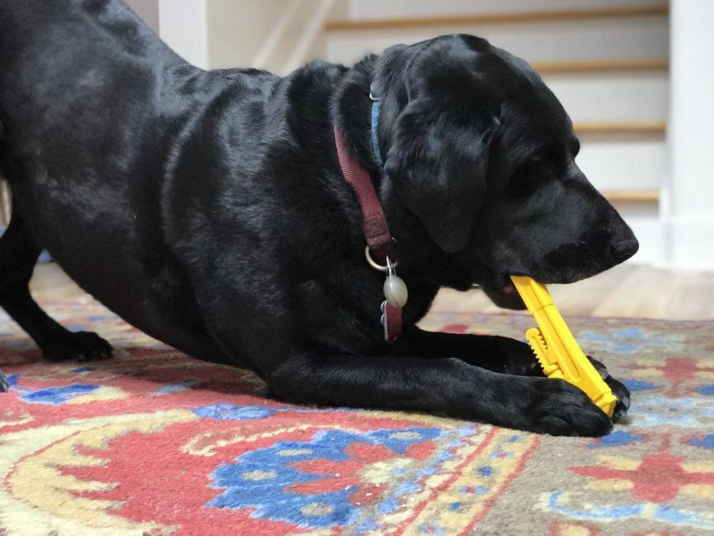 SodaPup Pipe Wrench Nylon Dog Toy Aggressive Chewers | USA Made