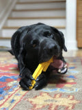 ID Pipe Wrench  Ultra Durable Nylon Dog Chew Toy for Aggressive Chewers - Yellow - SodaPup/True Dogs, LLC