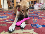 MKB Bone Ultra Durable Nylon Dog Chew Toy for Aggressive Chewers- Pink - SodaPup/True Dogs, LLC