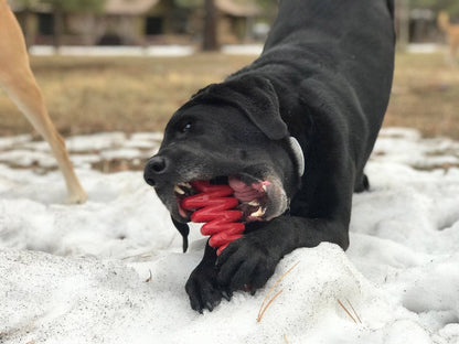 SodaPup Christmas Tree Nylon Dog Chew Toy Aggressive Chewers | USA Made & FDA Compliant