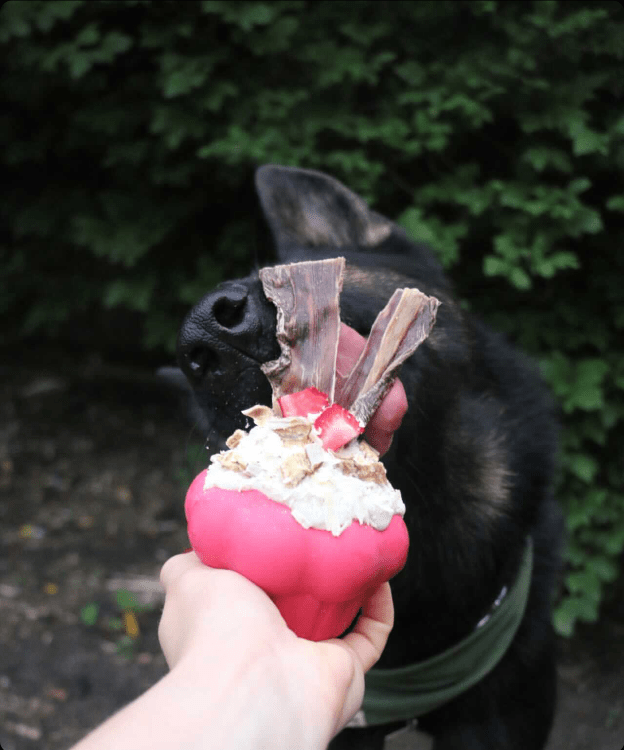 SodaPup Cupcake eDispenser Durable Rubber Chew Toy & Treat Dispenser | USA Made
