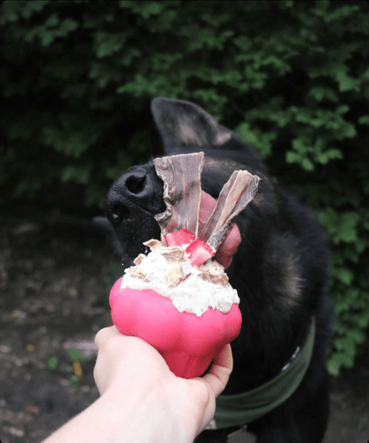 SodaPup Cupcake eDispenser Durable Rubber Chew Toy & Treat Dispenser | USA Made