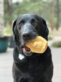 MKB Doggie Pharaoh Durable Chew Toy & Treat Dispenser - Gold - SodaPup/True Dogs, LLC