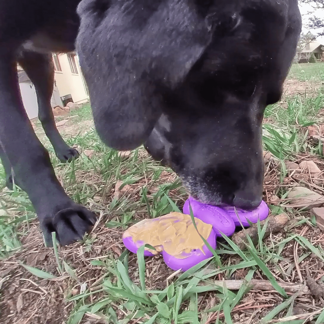https://sodapup.com/cdn/shop/products/sodapup-dog-toys-new-sp-butterfly-chew-and-enrichment-toy-purple-28413889708166_1024x1024@2x.png?v=1660533093