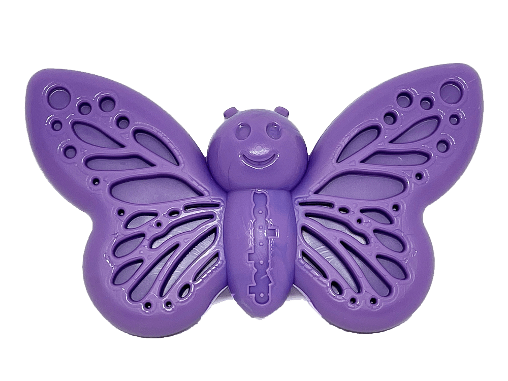 Butterfly Nylon Chew & Enrichment Toy | 2-in-1 for Aggressive