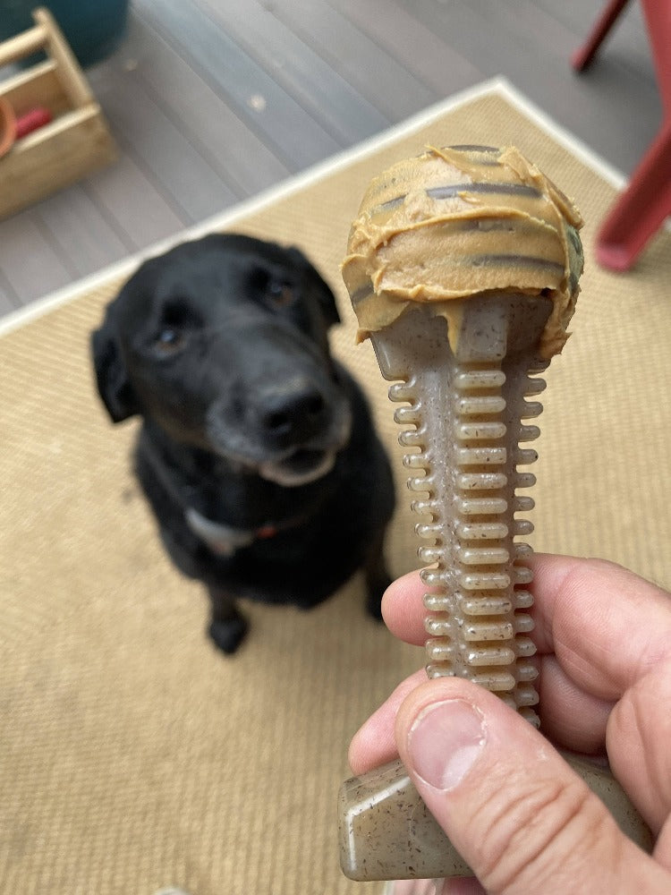 SodaPup Honey Bone Dental Tower Nylon Chew Toy Aggressive Chewers | USA Made