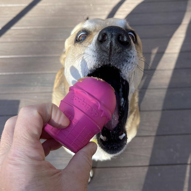 Dog eating rubber toy hotsell