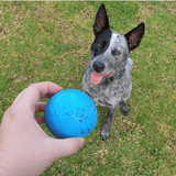 NEW! SP Wag Ball Ultra Durable Synthetic Rubber Chew Toy & Floating Retrieving Toy - Large - Blue - SodaPup/True Dogs, LLC