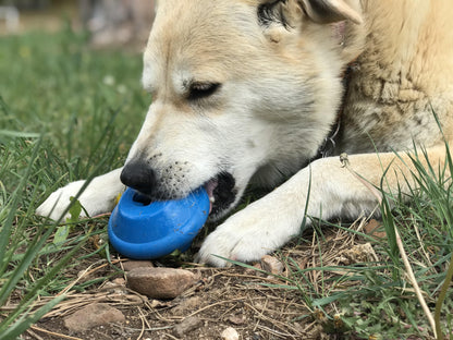 SodaPup Flying Saucer Dog Toy Durable UFO Chew & Treat Dispenser | USA Made