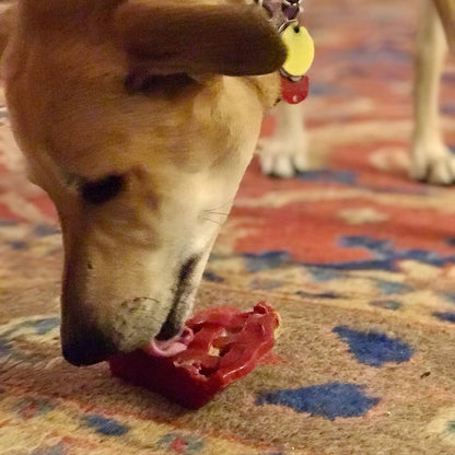 SodaPup Cherry Pie Nylon Dog Chew Toy Aggressive Chewers | USA Made