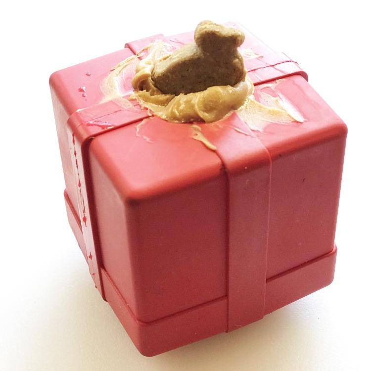 The Box - Chew Toys & Treat Puppy Gift Box