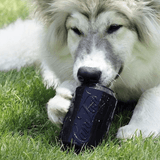 SP Magnum Can Toy Ultra Durable Rubber Chew Toy & Treat Dispenser - Black - SodaPup/True Dogs, LLC