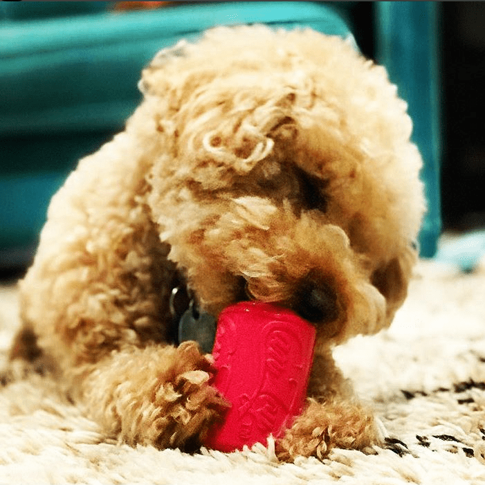 SodaPup Puppy Can Toy Rubber Chew Teething Puppies | Treat Dispenser USA Made