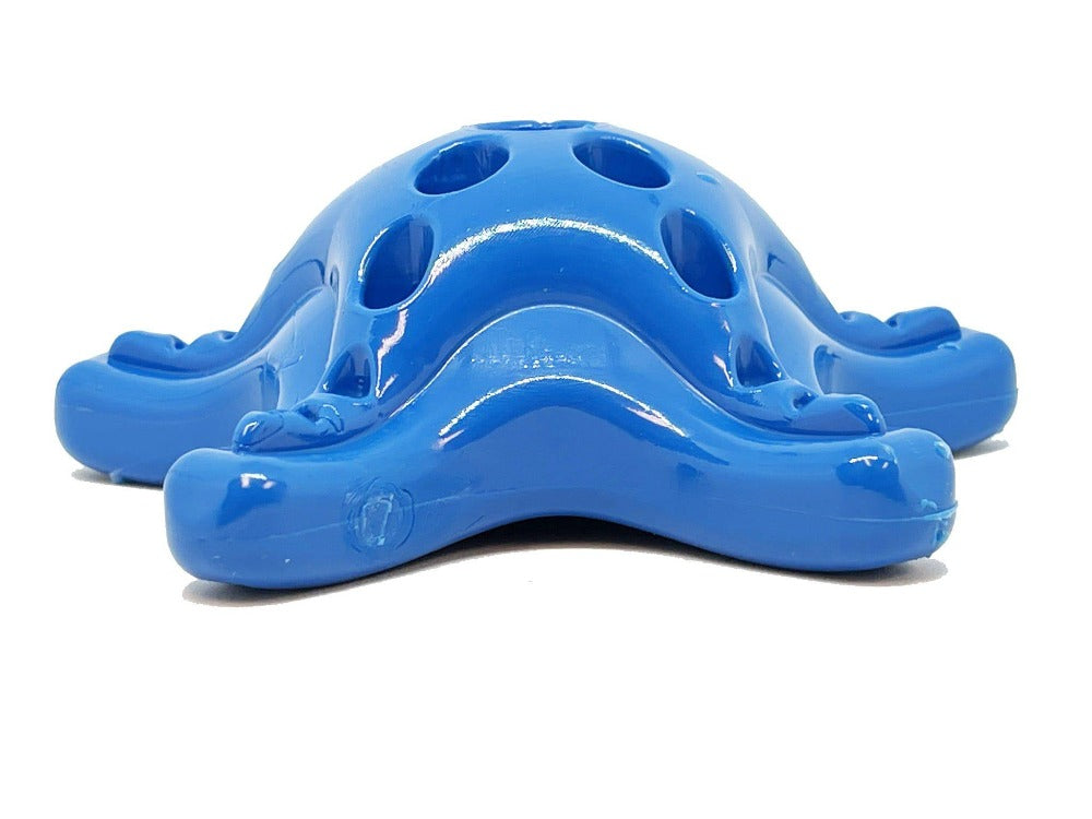 https://sodapup.com/cdn/shop/products/sodapup-dog-toys-starfish-ultra-durable-nylon-dog-chew-toy-for-aggressive-chewers-blue-17859934093446_1024x1024@2x.jpg?v=1660584349