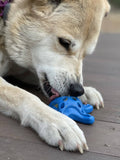 Starfish Ultra Durable Nylon Dog Chew Toy for Aggressive Chewers - Blue - SodaPup/True Dogs, LLC