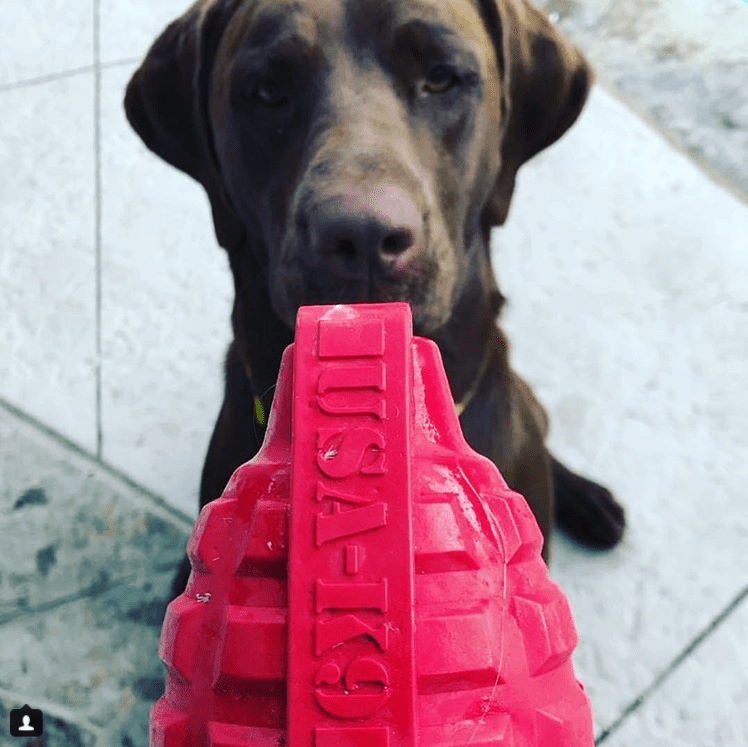 https://sodapup.com/cdn/shop/products/sodapup-dog-toys-usa-k9-puppy-grenade-durable-rubber-chew-toy-treat-dispenser-for-teething-pups-pink-5029102780461_1024x1024@2x.png?v=1637050727
