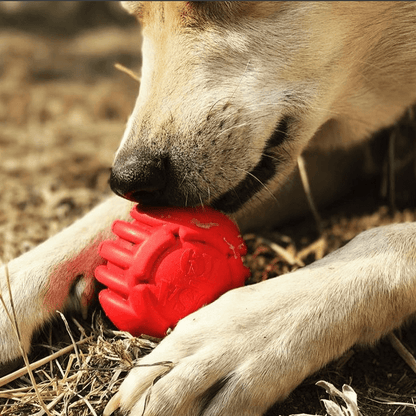 SodaPup USA-K9 Stars Stripes Rubber Dog Toy | K9 Handler Reward Red USA Made