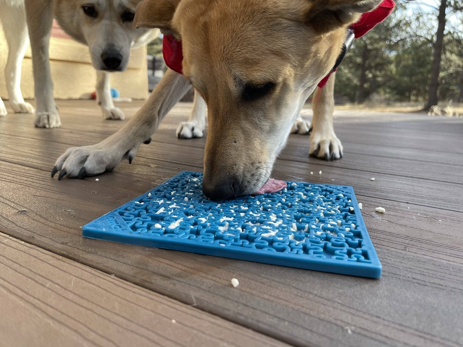 SodaPup Jigsaw Puzzle eMat Enrichment Lick Mat Dogs Cats | Toy Anxiety Relief USA Made
