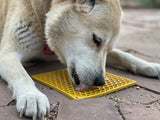 NEW! Honeycomb Design Emat Enrichment Lick Mat - Yellow - Large - SodaPup/True Dogs, LLC